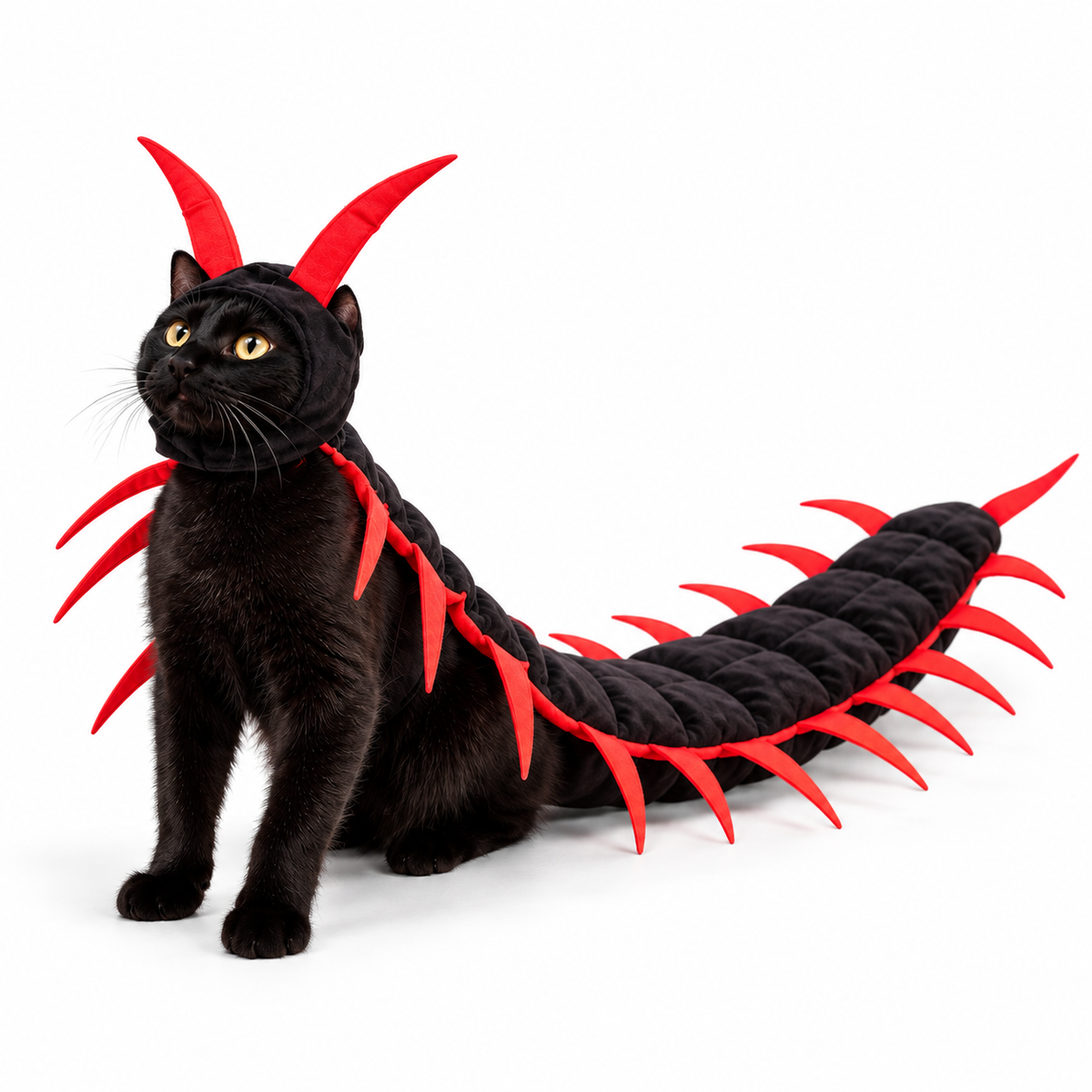 Walking Centipede Halloween Pet Costume